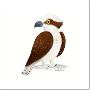 Osprey Posters and Art